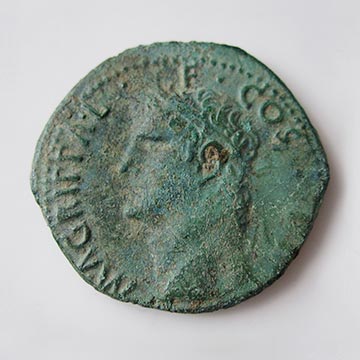 Münzkabinett: As, Caligula (für Agrippa), Roma, 37-41 n. Chr.