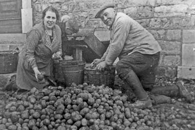 Kartoffelernte Einlagern der Kartoffelernte