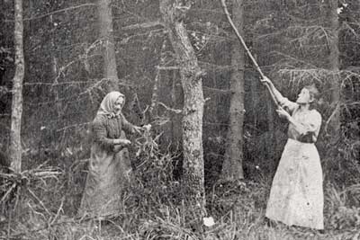 Gressenicher Gemeindewaldarbeiterinnen Gressenicher Gemeindewaldarbeiterinnen 1919