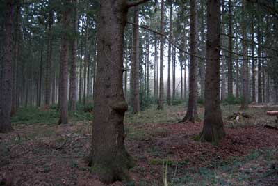 Erlbusch Erlbusch bei Mausbach