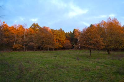 Herbstlicht, Bernhardshammer