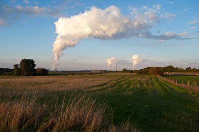 Mausbacher Hecken Mausbacher Hecken im Anfang des Spätjahrs 2022