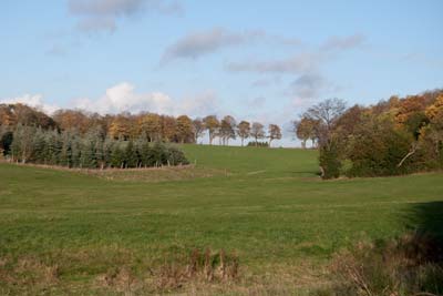 Hostbend Horstbend Mausbach