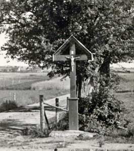 Franzosenkreuz vor Weißdorn