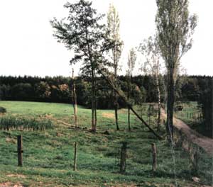An der Kohlwäaje, Mausbach
